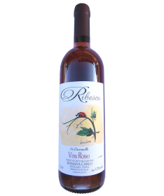RIBESCO-ružové víno